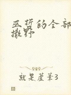 巫哲的全部小说撒野