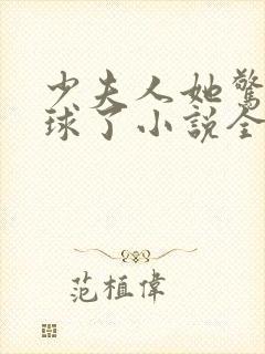 少夫人她惊艳全球了小说全本免费阅读