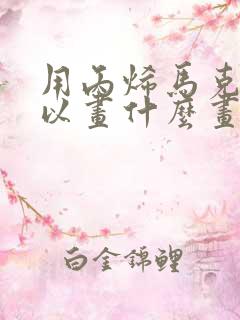 用丙烯马克笔可以画什么画