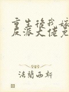 重生后我嫁给了反派大佬免费阅读