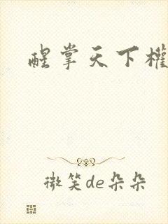 醒掌天下权小说