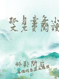 孤月意年小说全文免费阅读