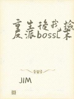 重生后我捡到了反派boss[末世]