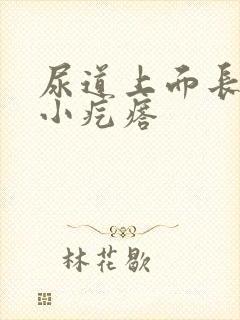 尿道上面长了一小疙瘩