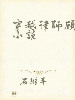 穿越律师顾晨的小说