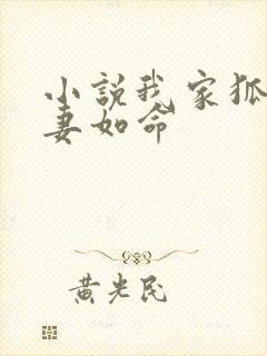 小说我家狐王宠妻如命