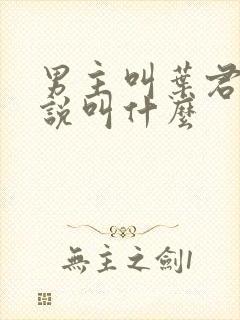 男主叫叶君的小说叫什么