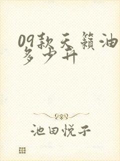 09款天籁油箱多少升