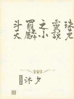 斗罗之灵珠神剑天麟小说免费阅读全文无窗口