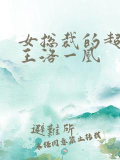 女总裁的超级兵王洛一凰