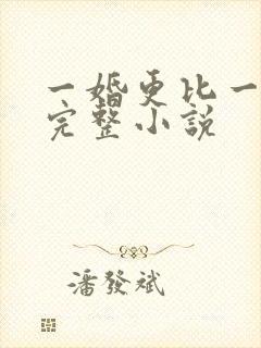 一婚更比一婚高完整小说