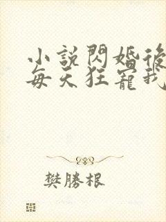 小说闪婚后大叔每天狂宠我