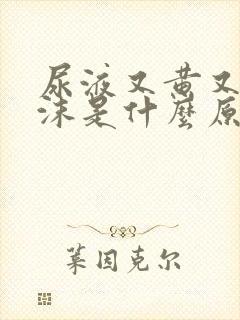 尿液又黄又有泡沫是什么原因