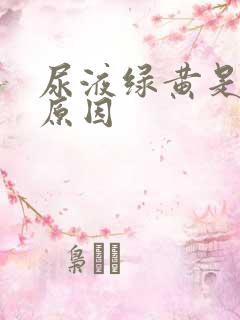 尿液绿黄是什么原因