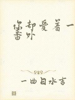 你却爱着一个他番外