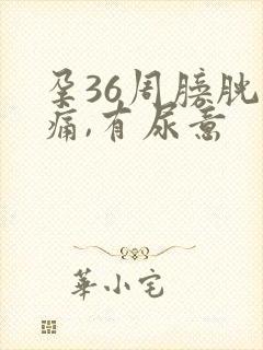 孕36周膀胱刺痛,有尿意