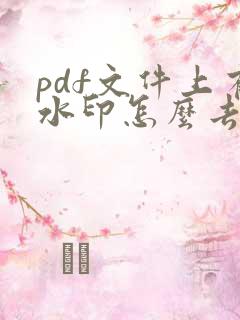 pdf文件上有水印怎么去除