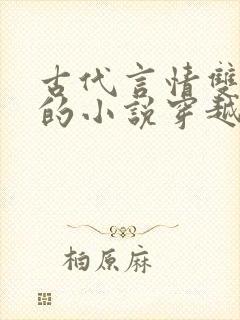 古代言情双男主的小说穿越