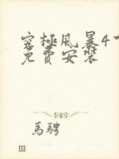 究极风暴4下载免费安装