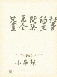 兄弟间的秘密漫画全集免费阅读