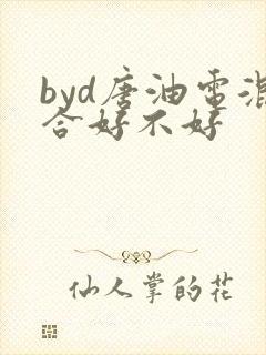 byd唐油电混合好不好