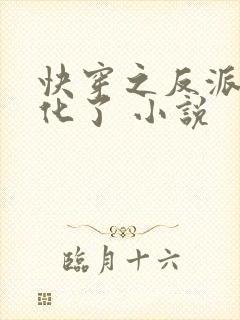 快穿之反派又黑化了 小说