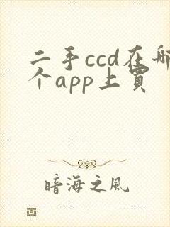 二手ccd在哪个app上买