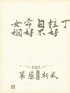 女命日柱丁巳婚姻好不好