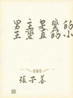 男主是弯的遇女主变直的小说