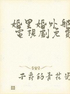 婚里婚外那些事 电视剧免费观看完整版