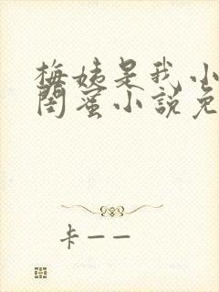 梅姨是我小妈的闺蜜小说免费阅读全