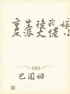 重生后我嫁给了反派大佬 小说