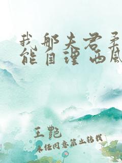 我那夫君柔弱不能自理 西风锦