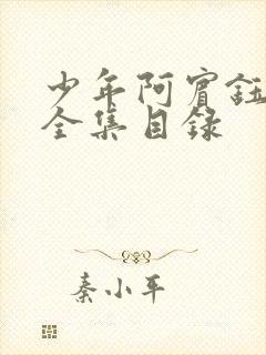 少年阿宾钰慧篇全集目录