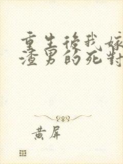 重生后我嫁给了渣男的死对头