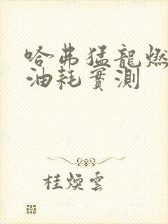 哈弗猛龙燃油版油耗实测