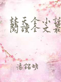 林天全小说免费阅读全文最新章节