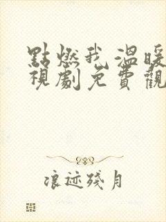 点燃我温暖你电视剧免费观看全