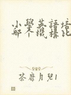 小学英语培训班哪个机构比较好