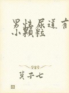 男性尿道有白色小颗粒