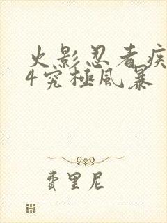 火影忍者疾风传4究极风暴