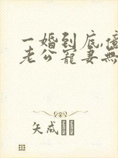 一婚到底,亿万老公宠妻无度