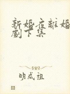 新婚夜离婚时短剧下集