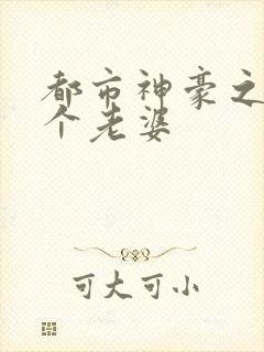 都市神豪之亿万个老婆