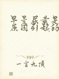 早晨尿黄是什么原因引起的