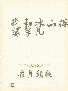 我和冰山总裁老婆宁凡
