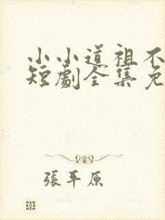 小小道祖不好惹短剧全集免费播放