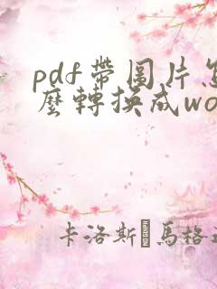 pdf带图片怎么转换成word