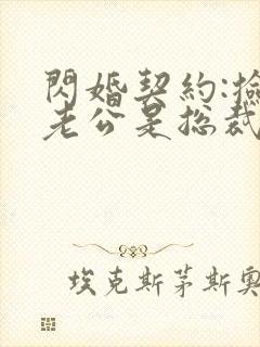 闪婚契约:捡个老公是总裁