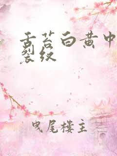 舌苔白黄中间有裂纹